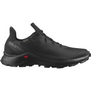 Herrenschuhe Salomon Alphacross 3 Gore-Tex