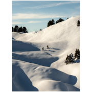 Skibindung Marker Griffon 13 Black - Red