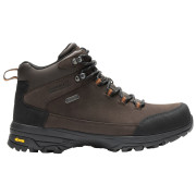 Herren Bergschuhe Regatta Burrell Leather Boot II dunkelbraun Peat