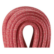 Kletterseil Edelrid Boa 9,8mm 50 m