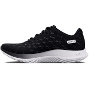 Herren Laufschuhe Under Armour FLOW Velociti Wind 2