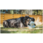Hundespielzeug Ruffwear Porchini™
