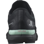 Herrenschuhe Salomon Sonic 4 Gore-Tex