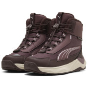 Kinderschuhe Puma Puma Evolve 2.0 Boot PS Rich Cocoa-Powde