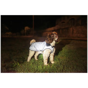 Regenmantel für Hunde Mountain Paws Reflective Fleece-Lined Dog Raincoat
