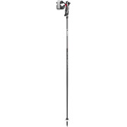 Skistöcke Leki Carbon 14 3D schwarz/grau black-dark anthracite-bright red