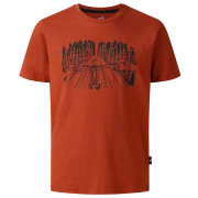 Kinder-T-Shirt Dare 2b Trailbazer III Tee Arabian Spice braun ArabianSpice