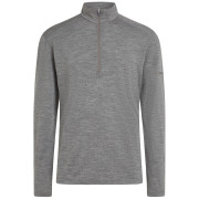 Herren Funktions-Sweatshirt Icebreaker Men Merino 200 Oasis LS Half Zip