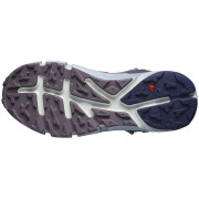 Damen Wanderschuhe Salomon Predict Hike Mid Gore-Tex