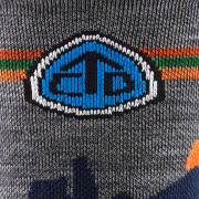 Herrensocken Darn Tough Cdt Micro Crew Lightweight With Cushion