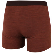 Herren-Boxershorts MOOA MerinoSilk 4in