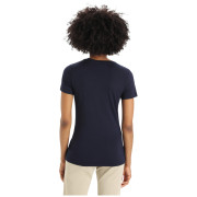 Damen-T-Shirt Icebreaker Tech Lite II SS Tee Ski Stripes