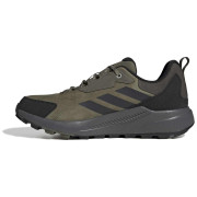 Wanderschuhe Adidas Terrex Anylander Leather