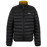 Herrenjacke Regatta Marizion