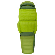 Daunenschlafsack Sea to Summit Ascent AcII - Regular