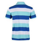 Herren-T-Shirt Regatta Maxen