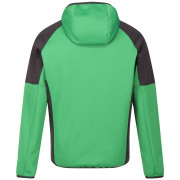 Herren-Sweatshirt Regatta Attare II