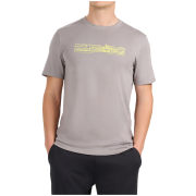 Herren-T-Shirt 4F Tshirt M3572 grau Grey