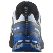 Herren Laufschuhe Salomon Xa Pro 3D V9 GTX Icon