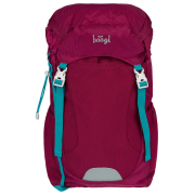 Rucksack Baagl Tracker
