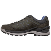 Herrenschuhe Lowa TORO PRO GTX LO