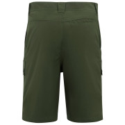 Herrenshorts Regatta Arlery Shorts