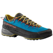 Herren Trekkingschuhe La Sportiva TX4 Evo GTX