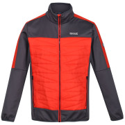 Herrenjacke Regatta Clumber II Hybrid rot/grau Rhino/Cajuno