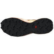Damenschuhe Salomon Speedcross 6 Gore-Tex