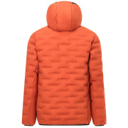Herren-Steppjacke Regatta Astrel