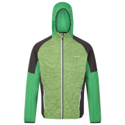 Herren-Sweatshirt Regatta Attare II grün Jasmine Green/Field Green