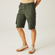 Herrenshorts Regatta Shorebay Short