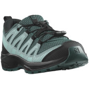Kinderschuhe Salomon Xa Pro V8 grün/schwarz Stargazer / Black / Blue Radiance