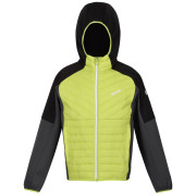 Kinderjacke Regatta Kielder Hybrid VI grün/schwarz GreenAlg/Blk
