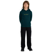 Kinder-Sweatshirt 4F Sweatshirt M1959