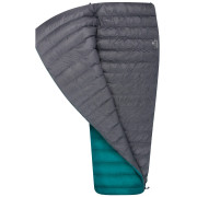 Daunenschlafsack Sea to Summit Traveller TrII