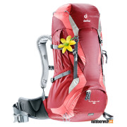 Rucksack Deuter Futura 30 SL (2020) weinfarbe