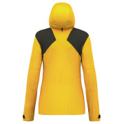 Damenjacke Salewa ORTLES PTX 3L W JACKET