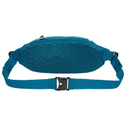 Hüfttasche The North Face Lumbnical L