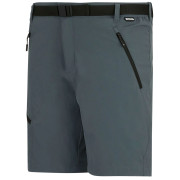 Herrenshorts Regatta Xert Stretch Shorts