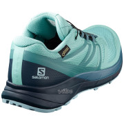 Damenschuhe Salomon Sense Ride 2 Gtx Invis Fit W