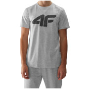 Herren-T-Shirt 4F Tshirt M1155 hellgrau Cold Light Grey Melange
