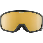 Skibrille Alpina Scarabeo S schwarz černá
