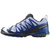 Herrenschuhe Salomon Xa Pro 3D V9 Icon
