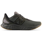 Herrenschuhe New Balance Fresh Foam Arishi v4