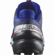 Herrenschuhe Salomon Speedcross 6 Gore-Tex Equipe