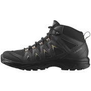 Wanderschuhe Salomon X Braze Mid Gore-Tex