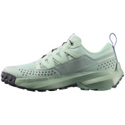 Damenschuhe Salomon Terramphibian W