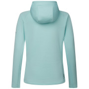 Damen Funktions-Sweatshirt Dare 2b Ventura Hooded