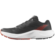 Herren Trekkingschuhe Salomon Pulsar